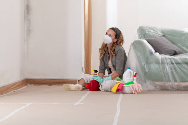 Reliable Mold Remediation contractor in Schoolcraft, MI by Cheap Mold Removal